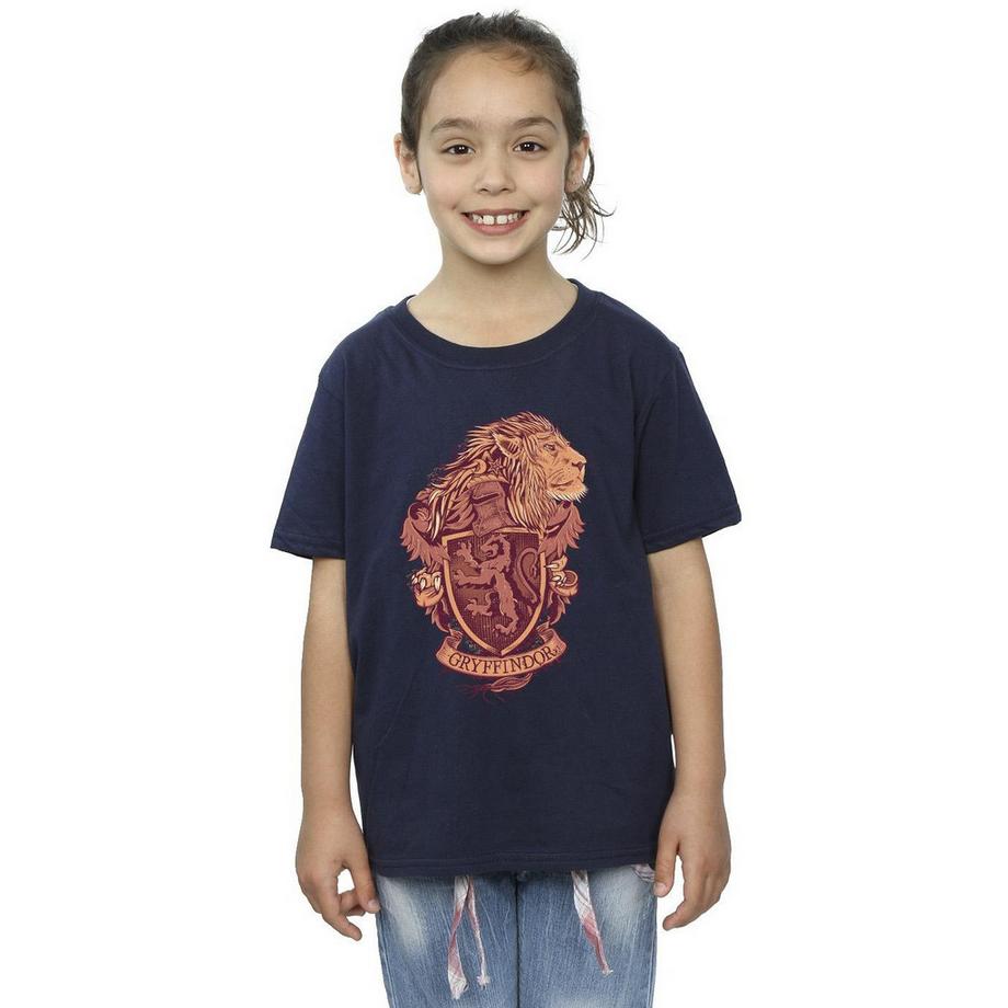 Harry Potter  Gryffindor TShirt 