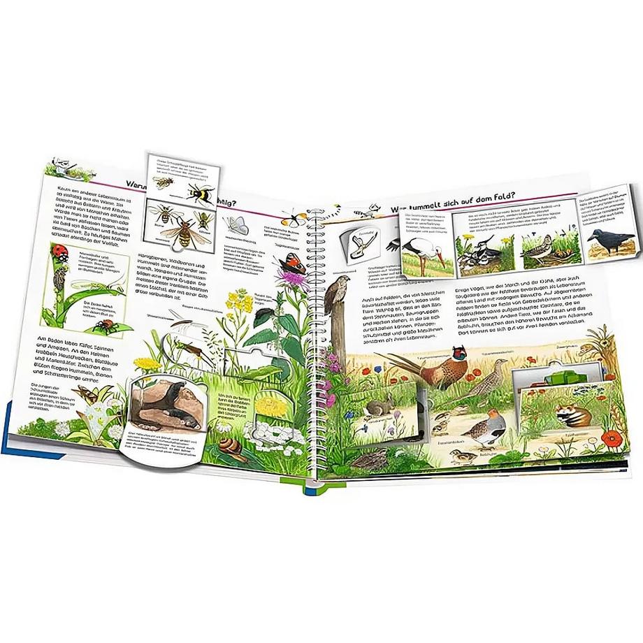 Wieso? Weshalb? Warum?, Band 71: Wir entdecken heimische Tiere Mennen, Patricia; Ebert, Anne (Illustrationen) Gebundene Ausgabe 