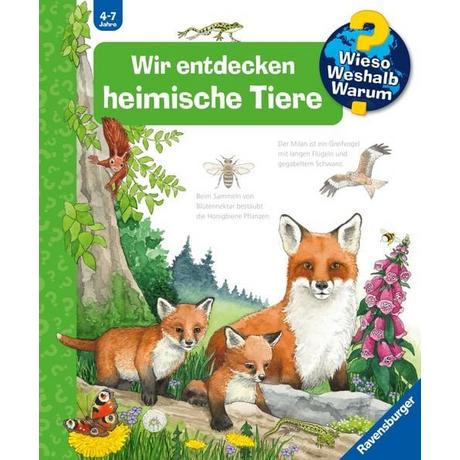 Wieso? Weshalb? Warum?, Band 71: Wir entdecken heimische Tiere Mennen, Patricia; Ebert, Anne (Illustrationen) Couverture rigide 