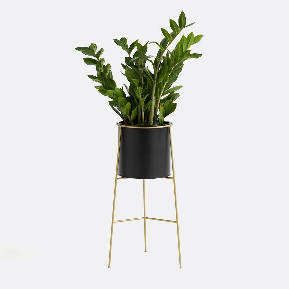 La Redoute Intérieurs Cache-pot sur pied métal fer Ø22 cm Inaya  