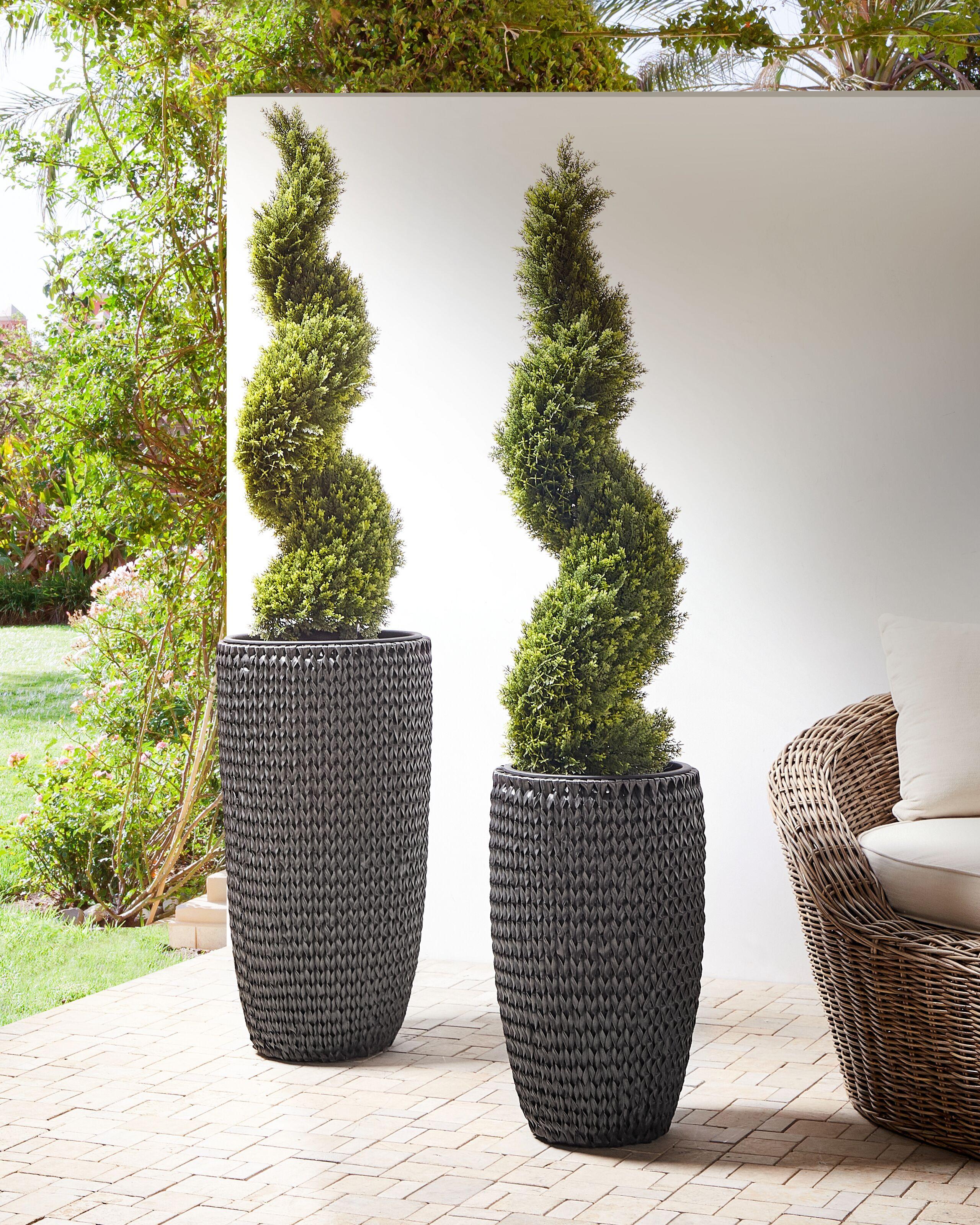 Beliani Lot de 2 pots de fleurs en Polyrotin Rustique CEDRUS  