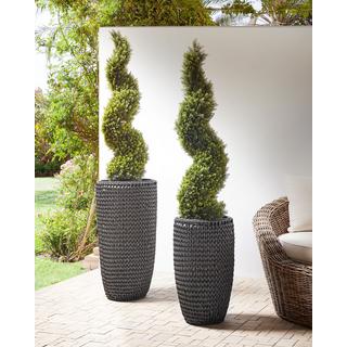 Beliani Lot de 2 pots de fleurs en Polyrotin Rustique CEDRUS  