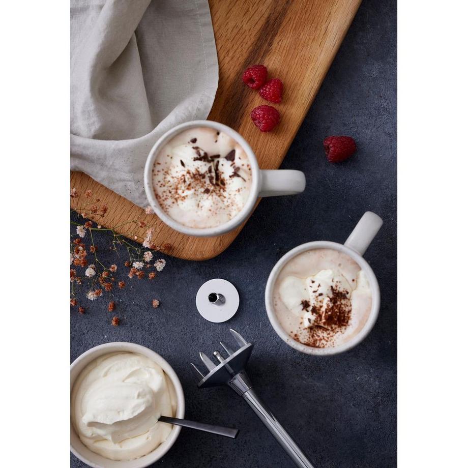 bamix  Schlagscheibe 