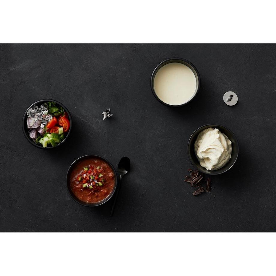 bamix  Schlagscheibe 