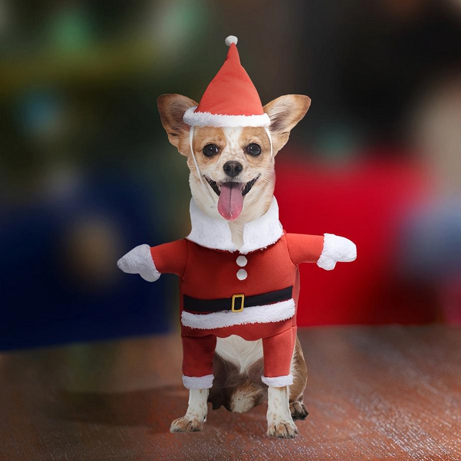 Alopini  Costume de Père Noël avec bonnet pour animaux de compagnie, veste chaude pour chien et chiot, M 