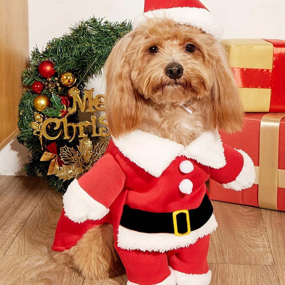 Alopini  Costume de Père Noël avec bonnet pour animaux de compagnie, veste chaude pour chien et chiot, M 