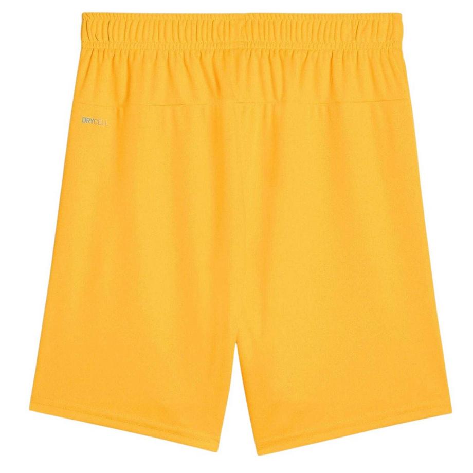 PUMA  Short De Foot Teamgoal 