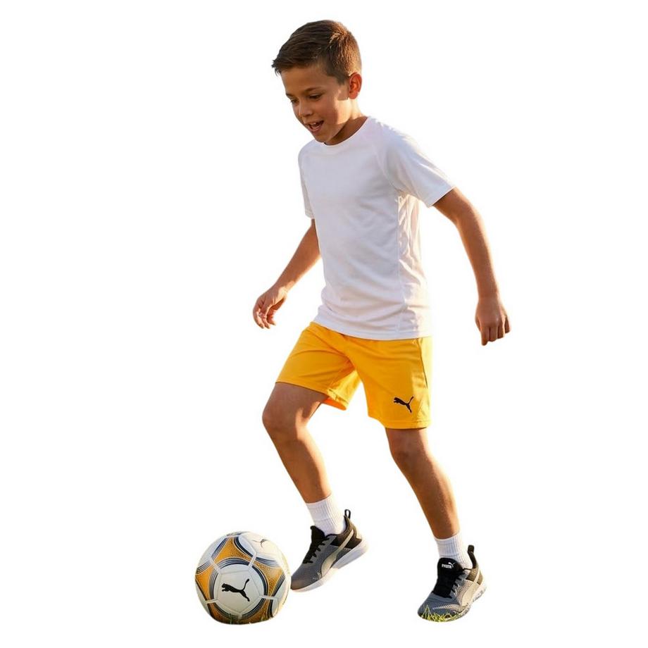 PUMA  Short De Foot Teamgoal 