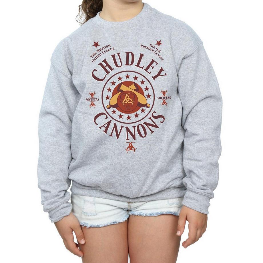 Harry Potter  Sweat CHUDLEY CANNONS 