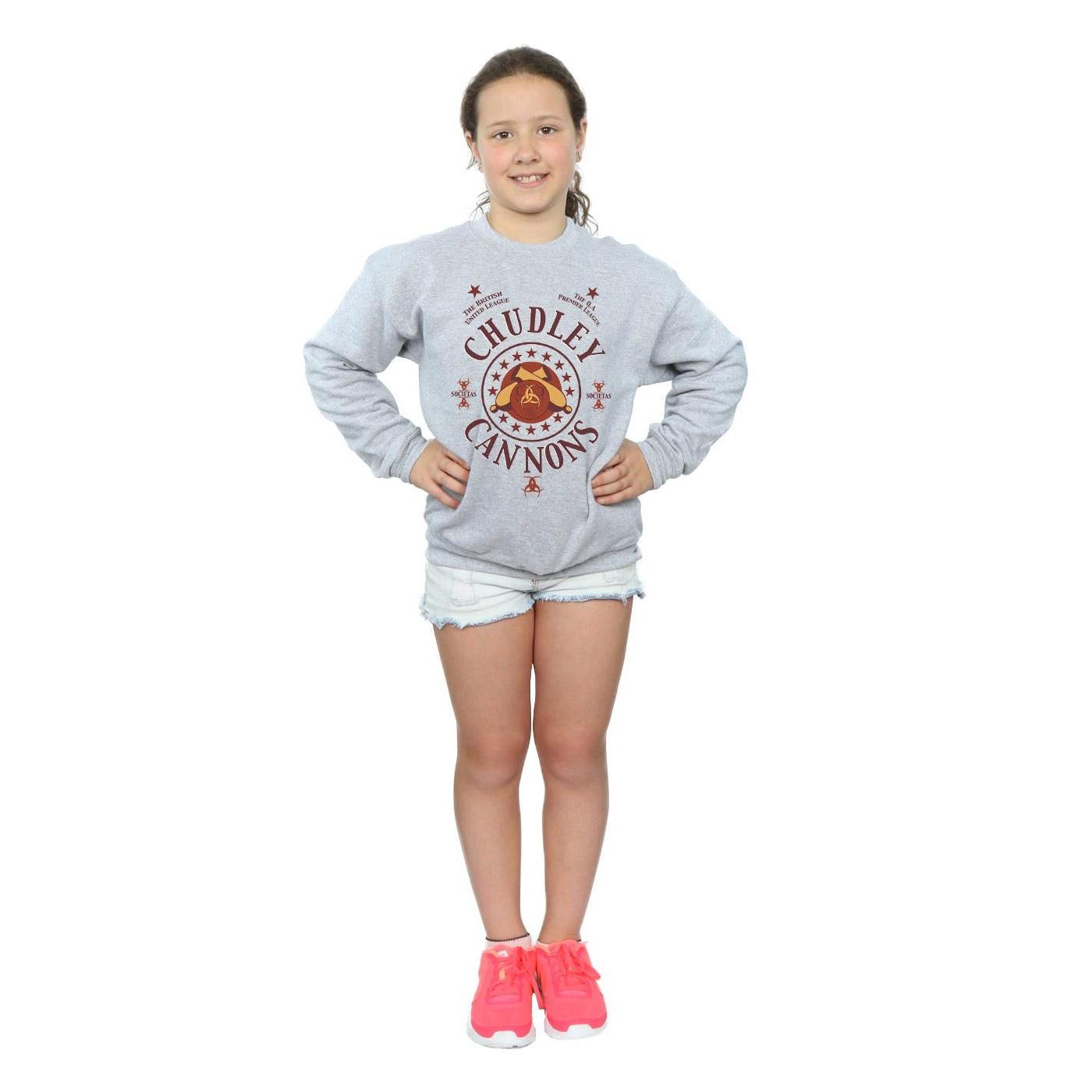 HARRY-POTTER  Chudley Cannons Sweatshirt 