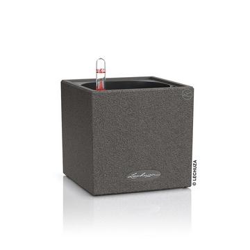 CANTO Stone all-in-one