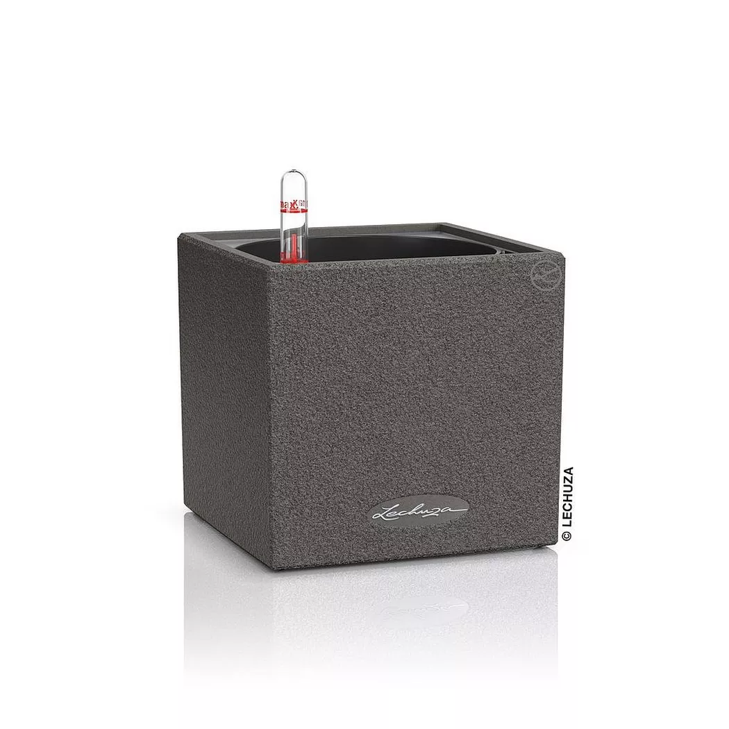 Lechuza - CANTO Stone all-in-one, 14cm, Schwarz Leicht