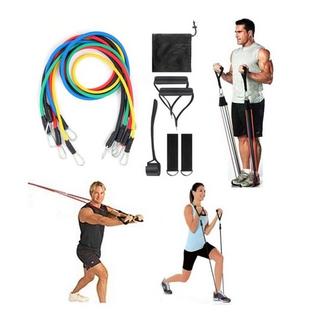 SwissGym  Resistance Band Fitness Band Doorgym Widerstandsbänder Set mit 11 Teilen 