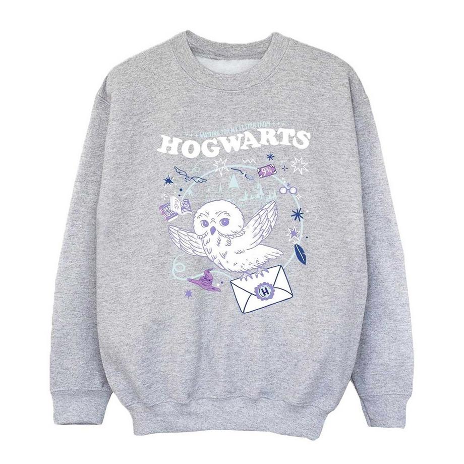 Sweat LETTER FROM HOGWARTS