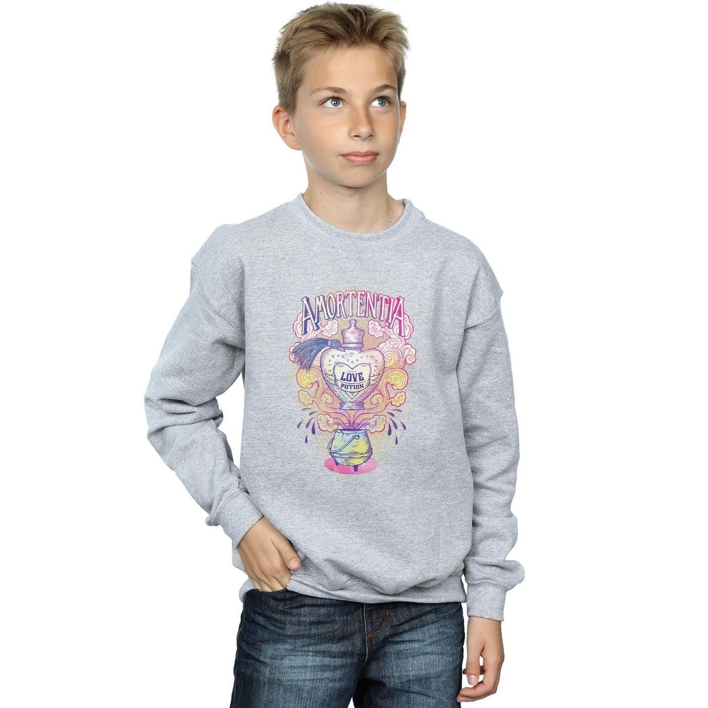 Harry Potter  Sweatshirt 