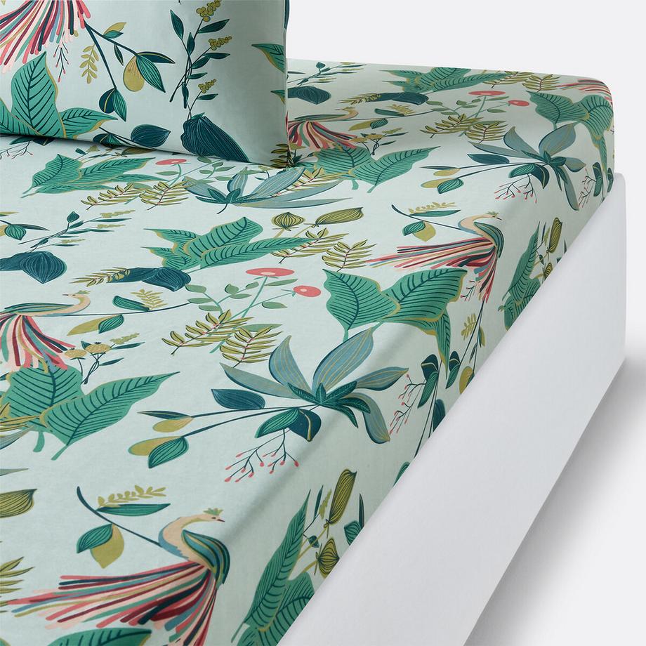 Drap housse percale de coton