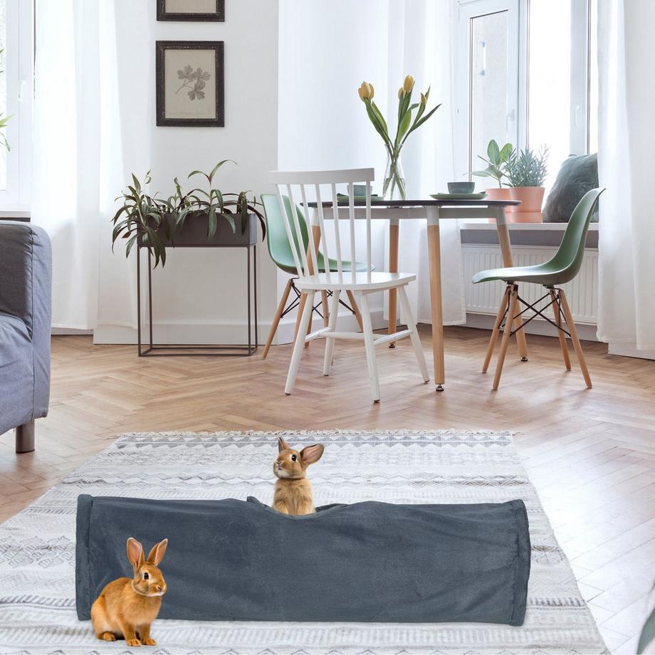 B2X  Tunnel pliable pour chat avec peluche 