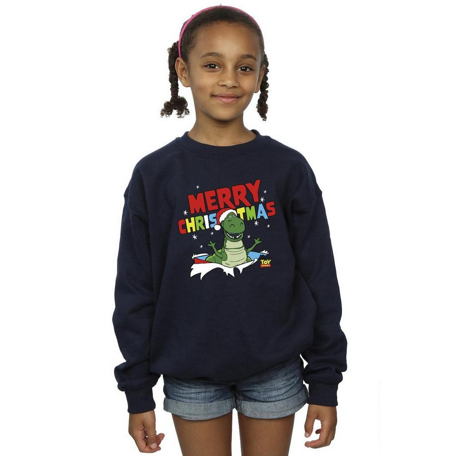 Disney  Toy Story Sweatshirt 