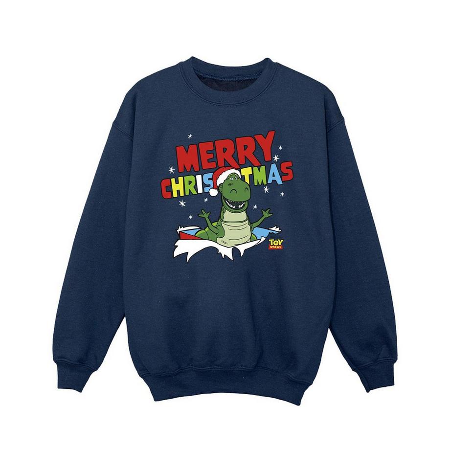 Disney  Toy Story Sweatshirt 