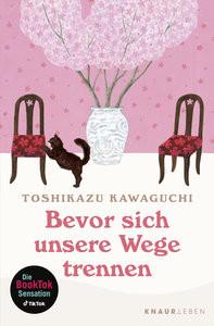 Bevor sich unsere Wege trennen Kawaguchi, Toshikazu; Pflüger, Friedrich (Übersetzung) Livre de poche 