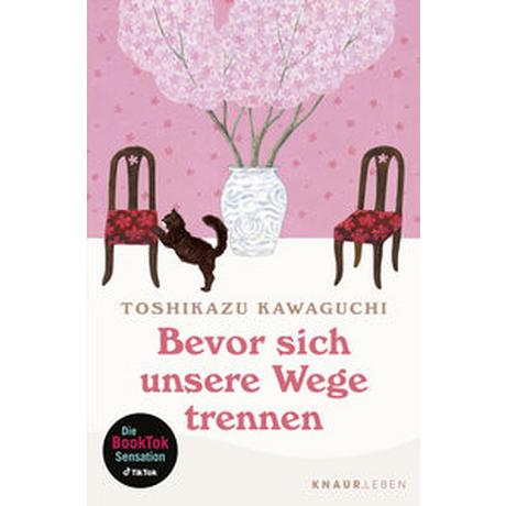 Bevor sich unsere Wege trennen Kawaguchi, Toshikazu; Pflüger, Friedrich (Übersetzung) Livre de poche 