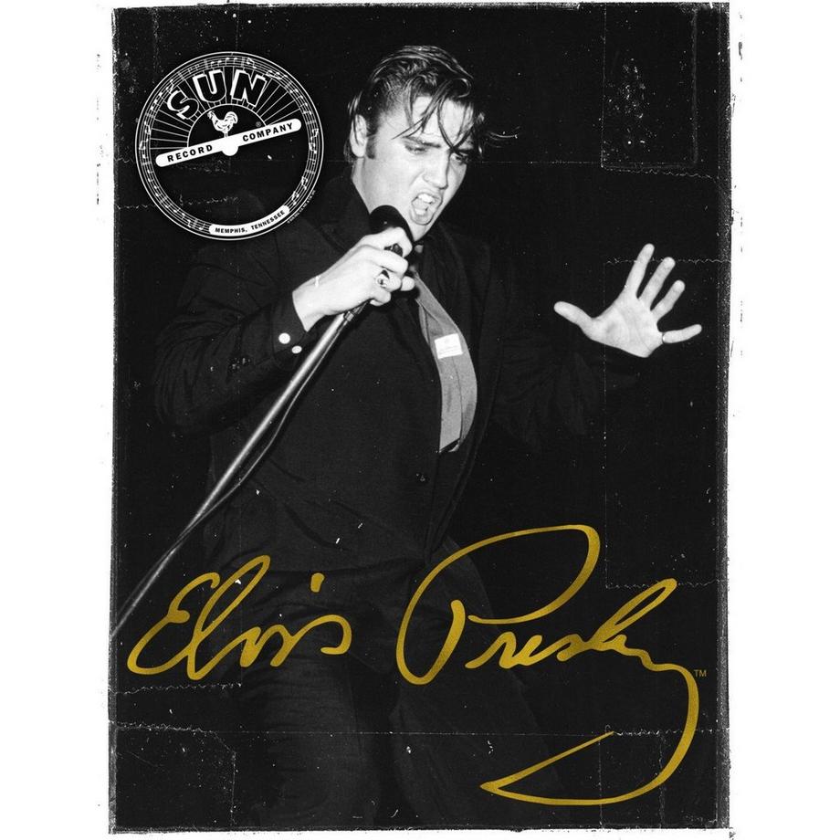 Amplified Portrait Live T-Shirt  