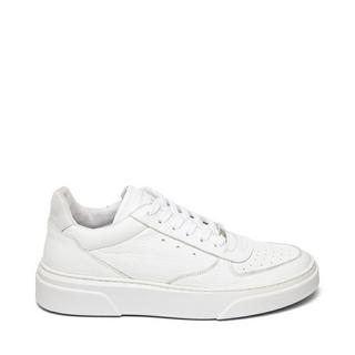 STEVE MADDEN  Baskets Brent 