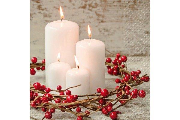 STEWO INTERNATIONAL STEWO Servietten Yasna 25x25cm 2573637620 rot 20 Stück  