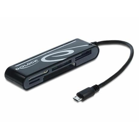 DeLock  Card Reader Extern All in 1 MicroUSB 