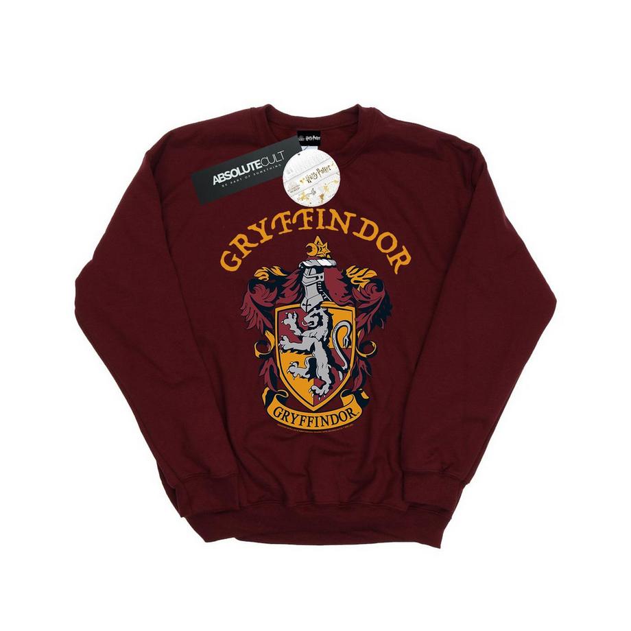 Gryffindor Sweatshirt