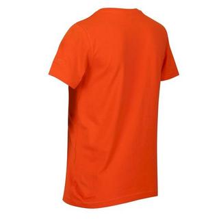 Regatta  Bosley V TShirt 