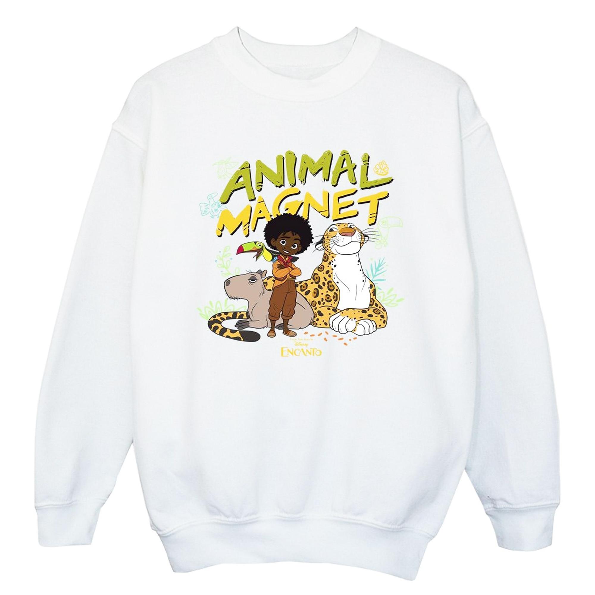 Disney  Encanto Sweatshirt 