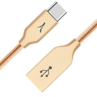 Akashi  Cavo USB Akashi USB type C Metallo Oro 