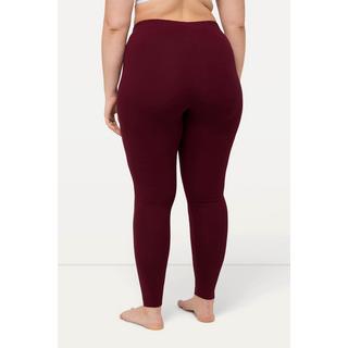 Ulla Popken  Legging en coton avec taille élastique, coupe Slim 