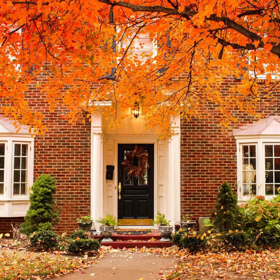 B2X  Schutz für Dachrinnen 6 m 