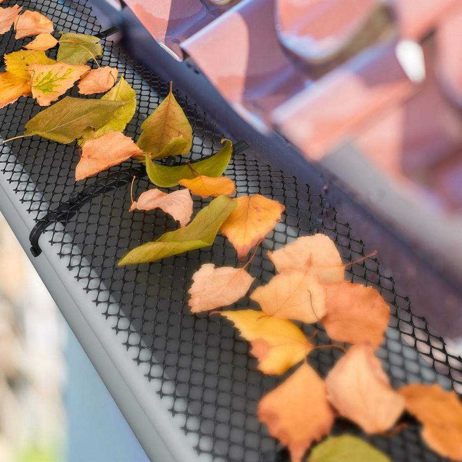 B2X  Schutz für Dachrinnen 6 m 