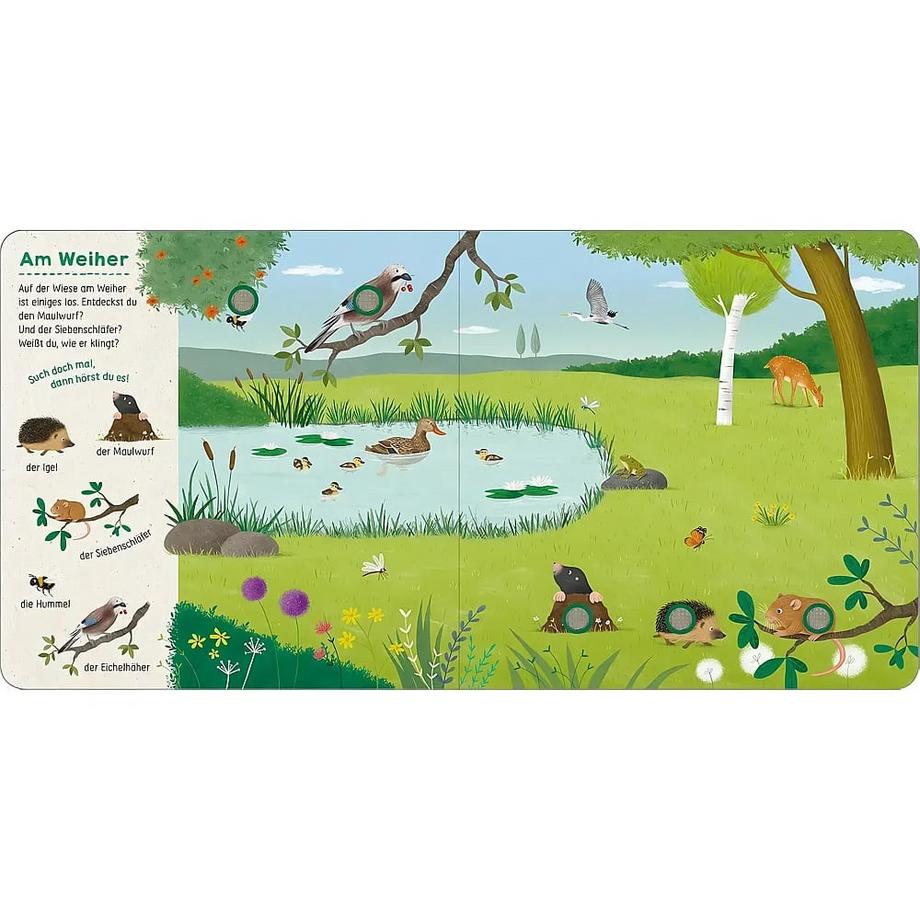 Such mal, hör mal! Bei den Tieren Barnard, Lucy (Illustrationen) Gebundene Ausgabe 