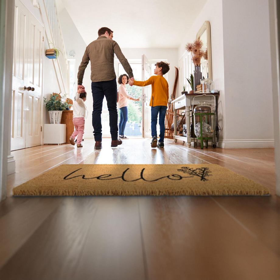 B2X Zerbino Hello in cocco  