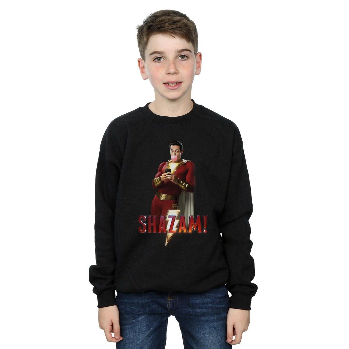 DC COMICS  Sweatshirt 