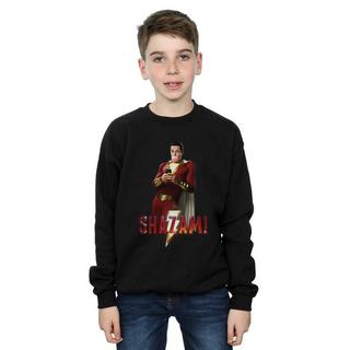 DC COMICS  Sweatshirt 