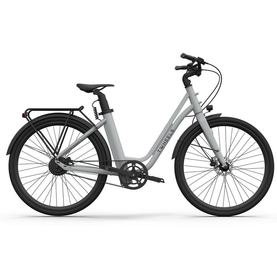 TWHEELS  Gepäckträger für E-Bike City Classic 