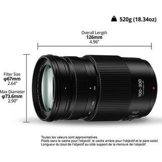 Panasonic  Panasonic Lumix G X Vario H-FSA100300E SLR Teleobiettivo zoom Nero 