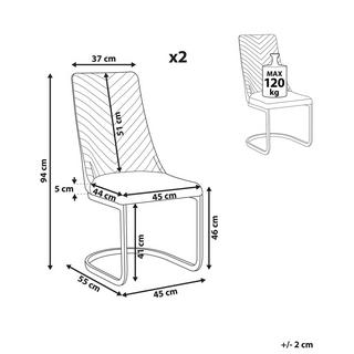 Beliani Lot de 2 chaises en Velours Moderne ALTOONA  