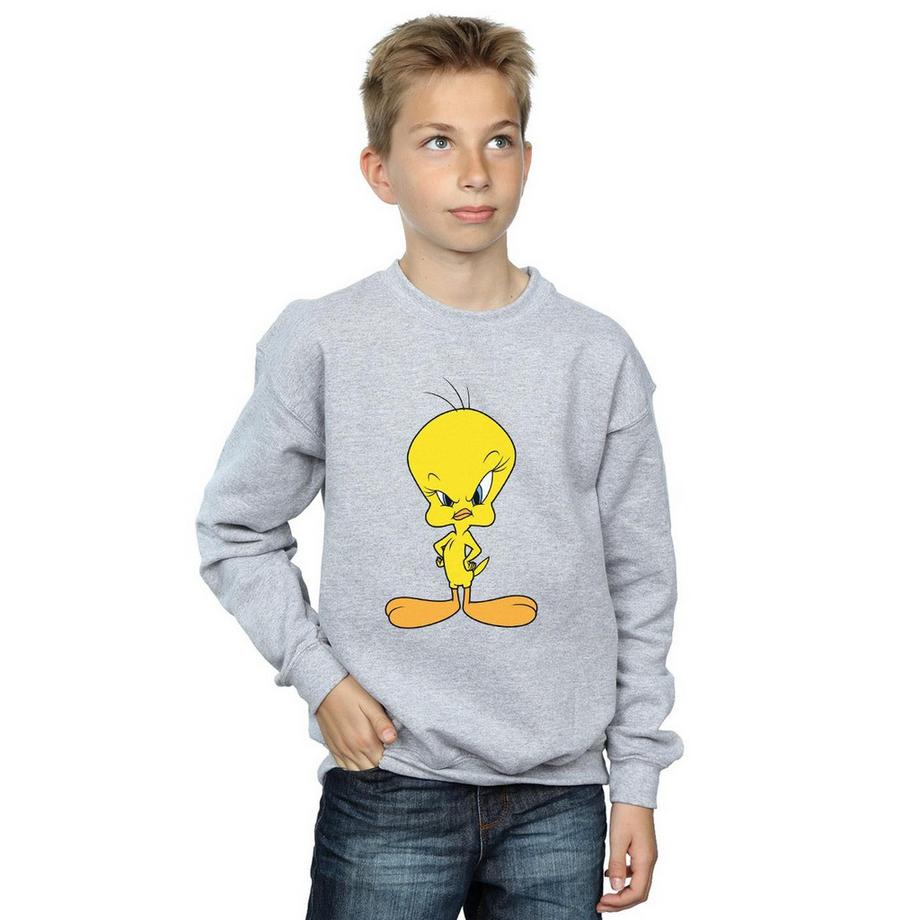 LOONEY TUNES  Sweatshirt 