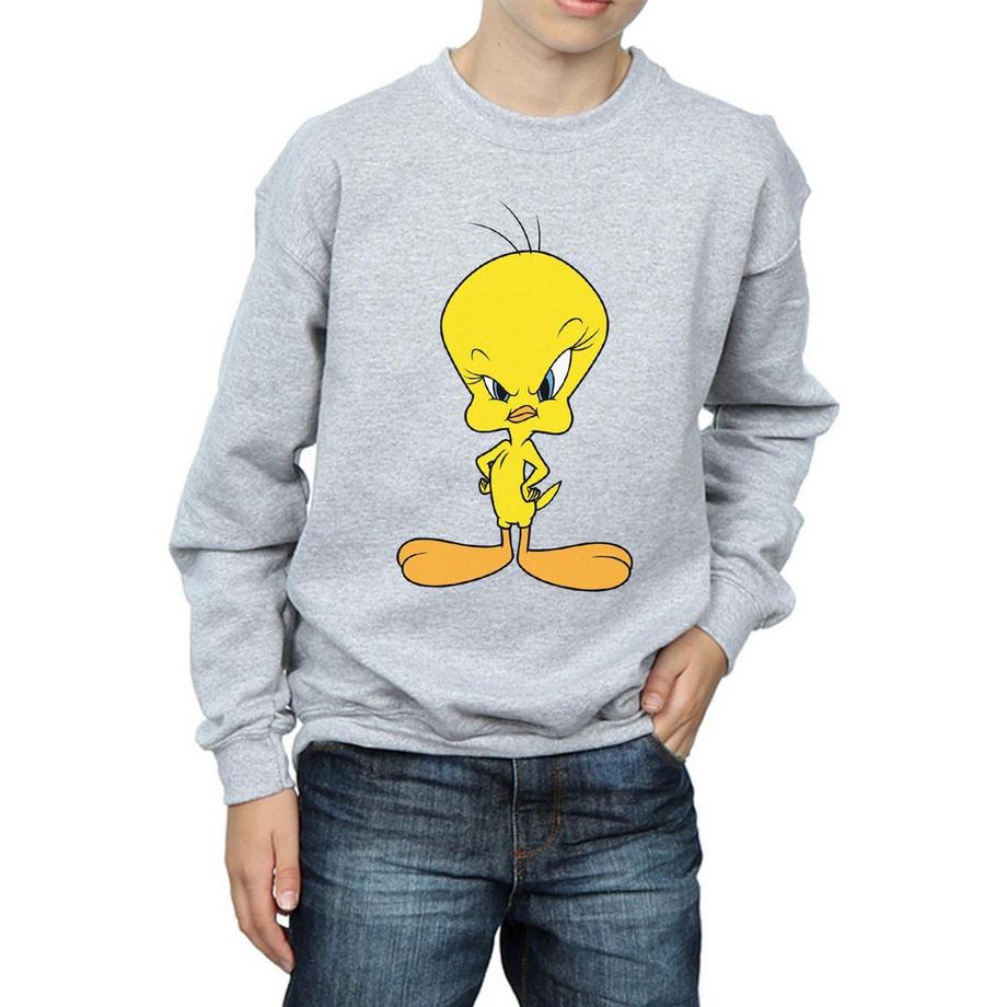 LOONEY TUNES  Sweatshirt 