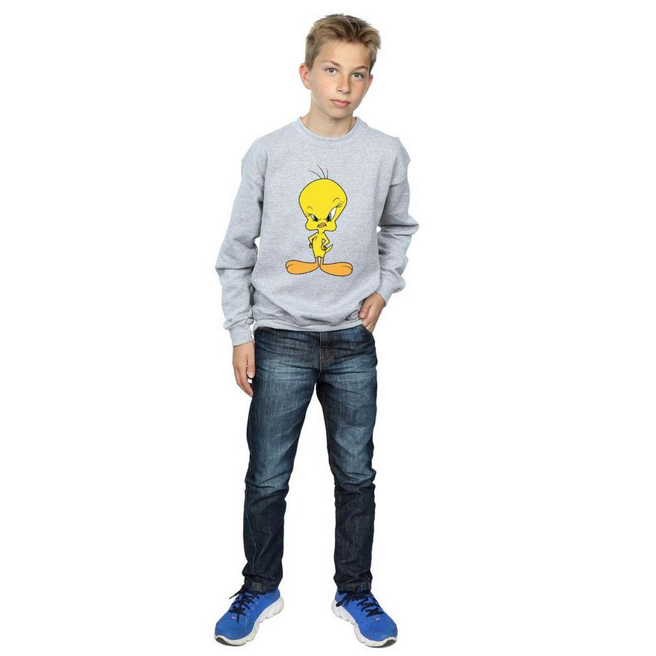 LOONEY TUNES  Sweatshirt 