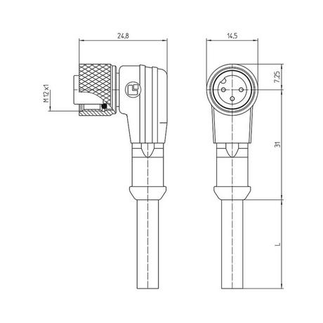 Lutronic  Anschlussleitung M12 Serie 1205 