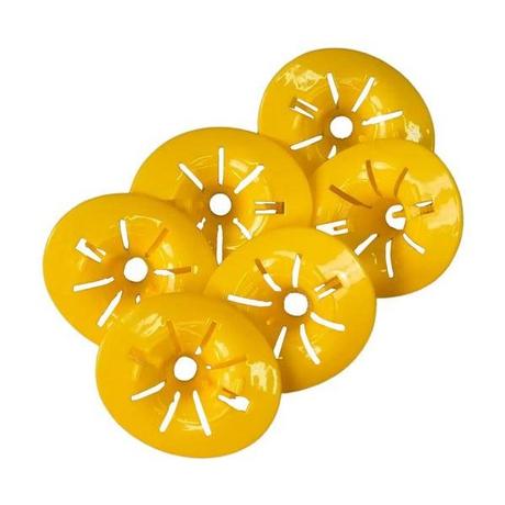 Northio 6x Pièges à guêpes pour bouteilles en plastique  