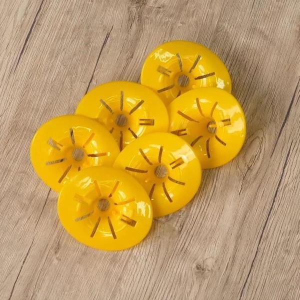 Northio 6x Pièges à guêpes pour bouteilles en plastique  