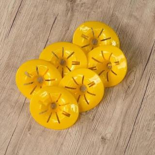 Northio 6x Pièges à guêpes pour bouteilles en plastique  